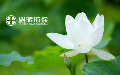瀘州樹(shù)派環(huán)?？萍加邢薰?/></p>
                    <p class=